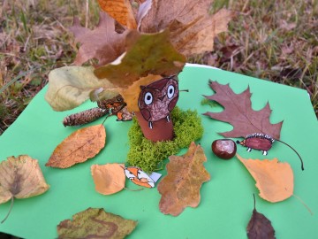 Marcelina Zieja, „Skarby Wzniesień Łódzkich”, Szkoła Podstawowa im. 24 lutego 1863 r. w Dobrej, 